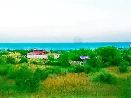 Rozmarin Balcic