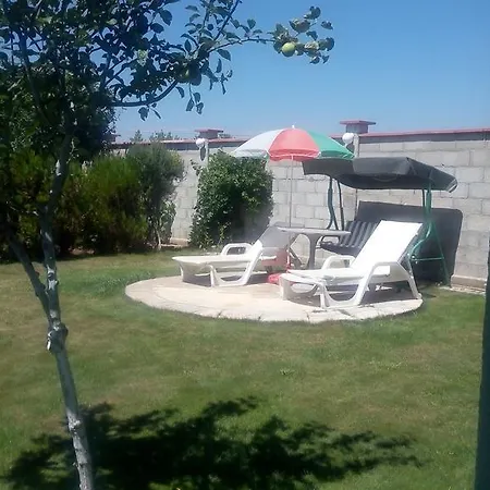 Rozmarin Balchik